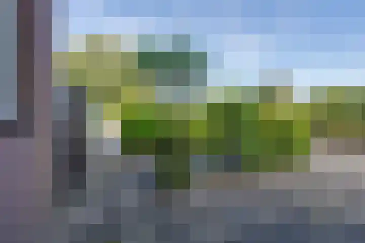 Paletstraat 1 Alkmaar thumbnail 7
