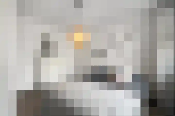 Paletstraat 32 Alkmaar thumbnail 26