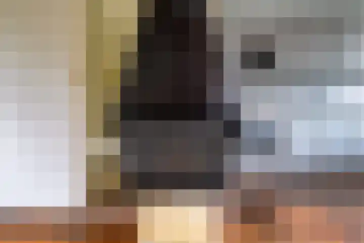 Palfijnstraat 26 Hengelo thumbnail 10