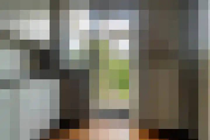 Palfijnstraat 26 Hengelo thumbnail 24
