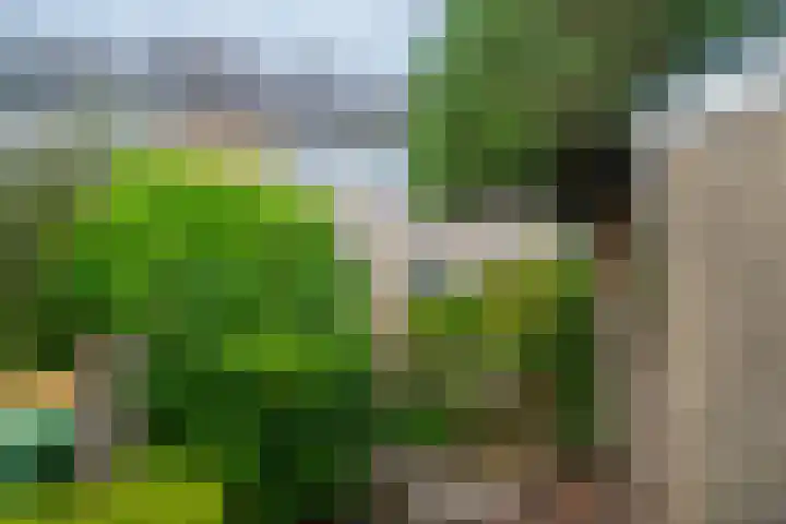 Palfijnstraat 26 Hengelo thumbnail 28
