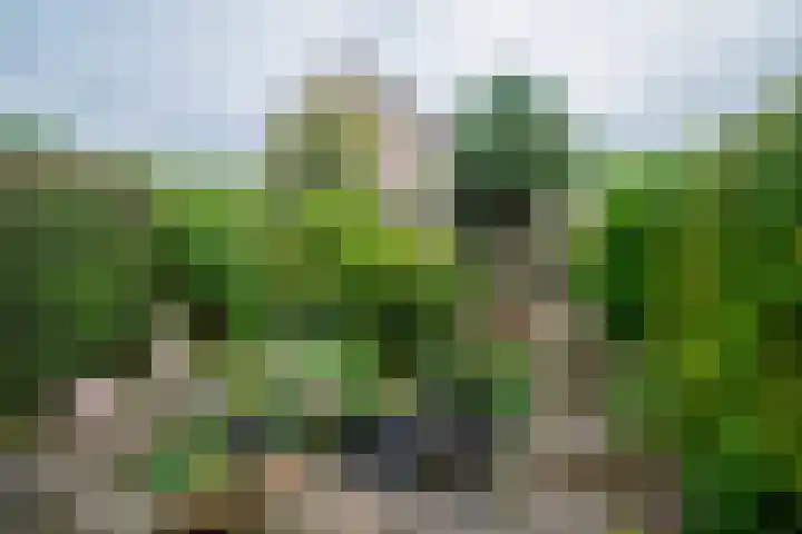 Palfijnstraat 26 Hengelo thumbnail 31