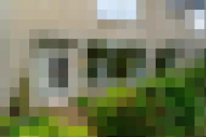 Palfijnstraat 26 Hengelo thumbnail 32