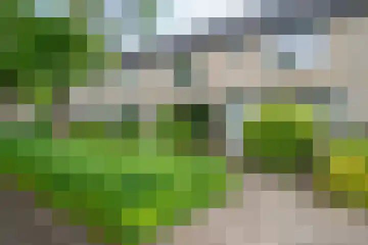 Palfijnstraat 26 Hengelo thumbnail 35