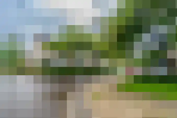 Palfijnstraat 26 Hengelo thumbnail 38