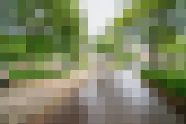 Palfijnstraat 26 Hengelo thumbnail 39