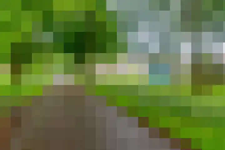 Palfijnstraat 26 Hengelo thumbnail 47