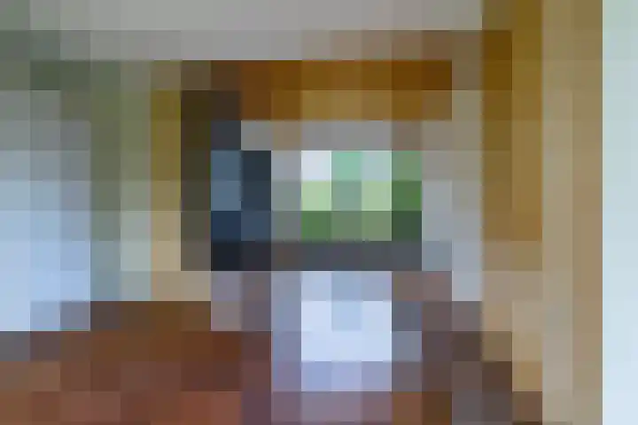 Palfijnstraat 26 Hengelo thumbnail 8