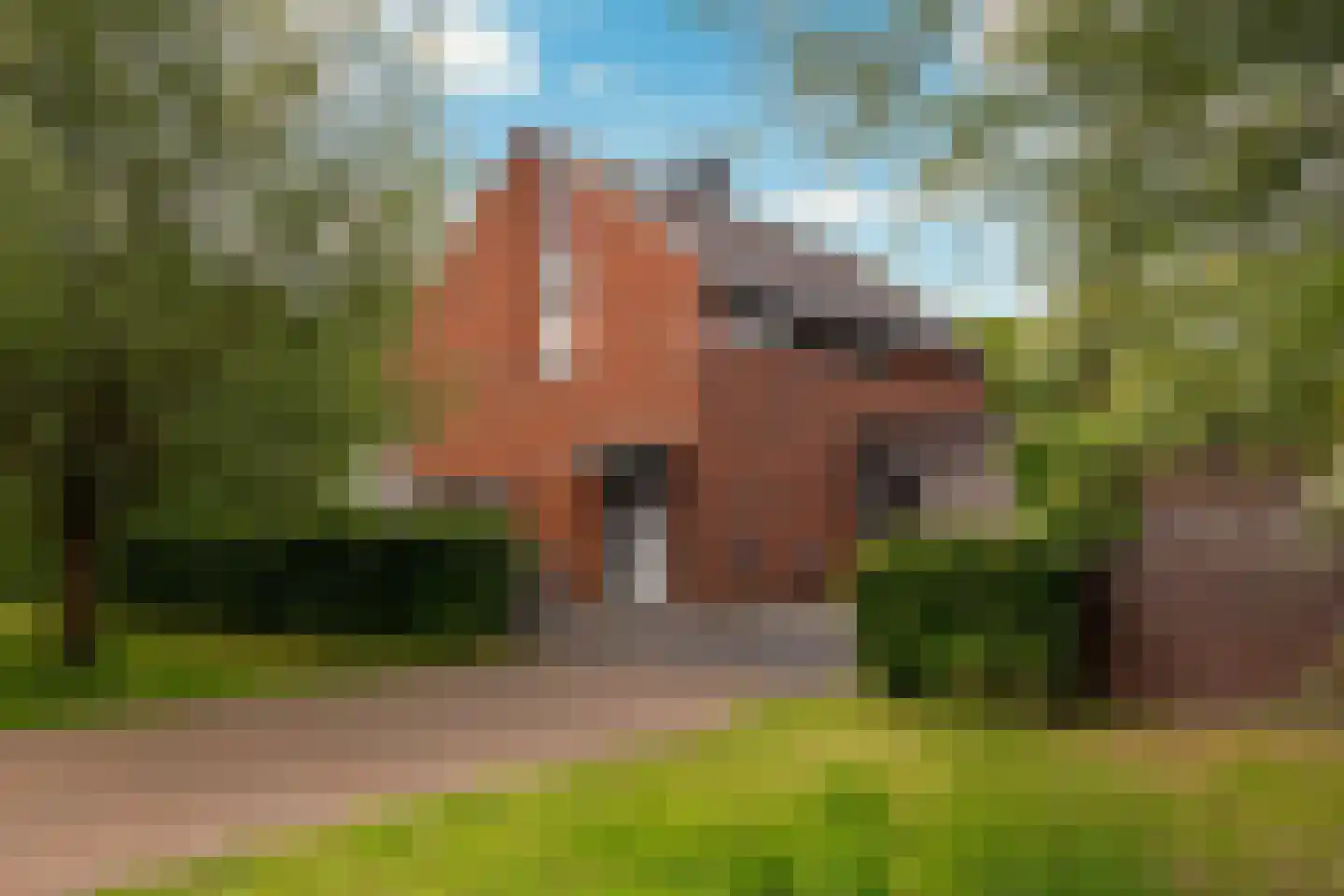 Palfrenier 18 in Waalwijk
