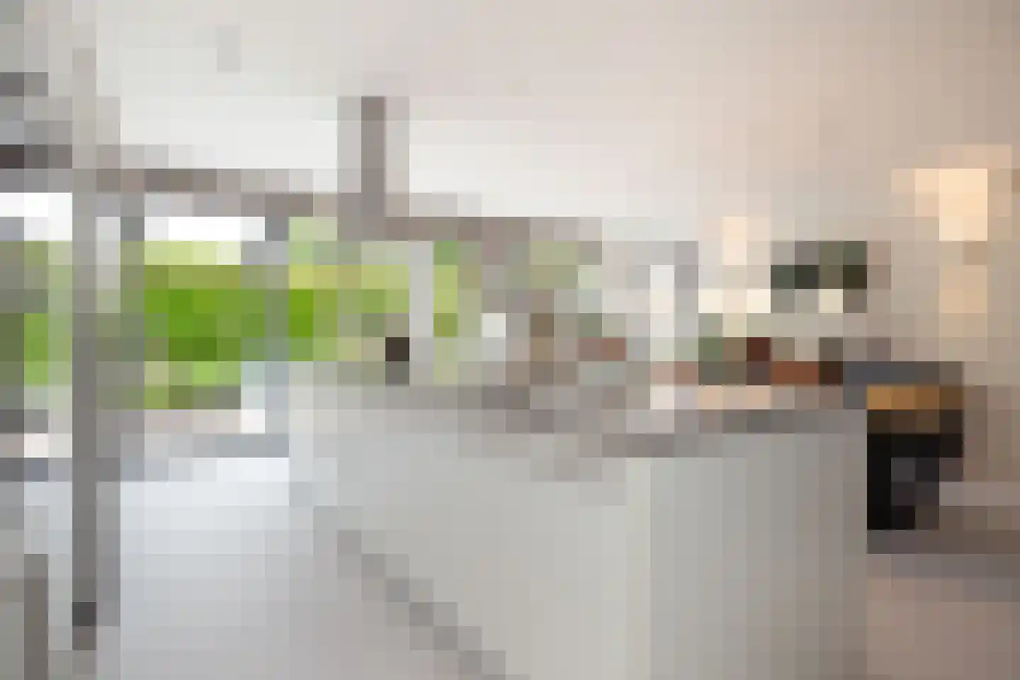 Palfrenier 18 Waalwijk thumbnail 10