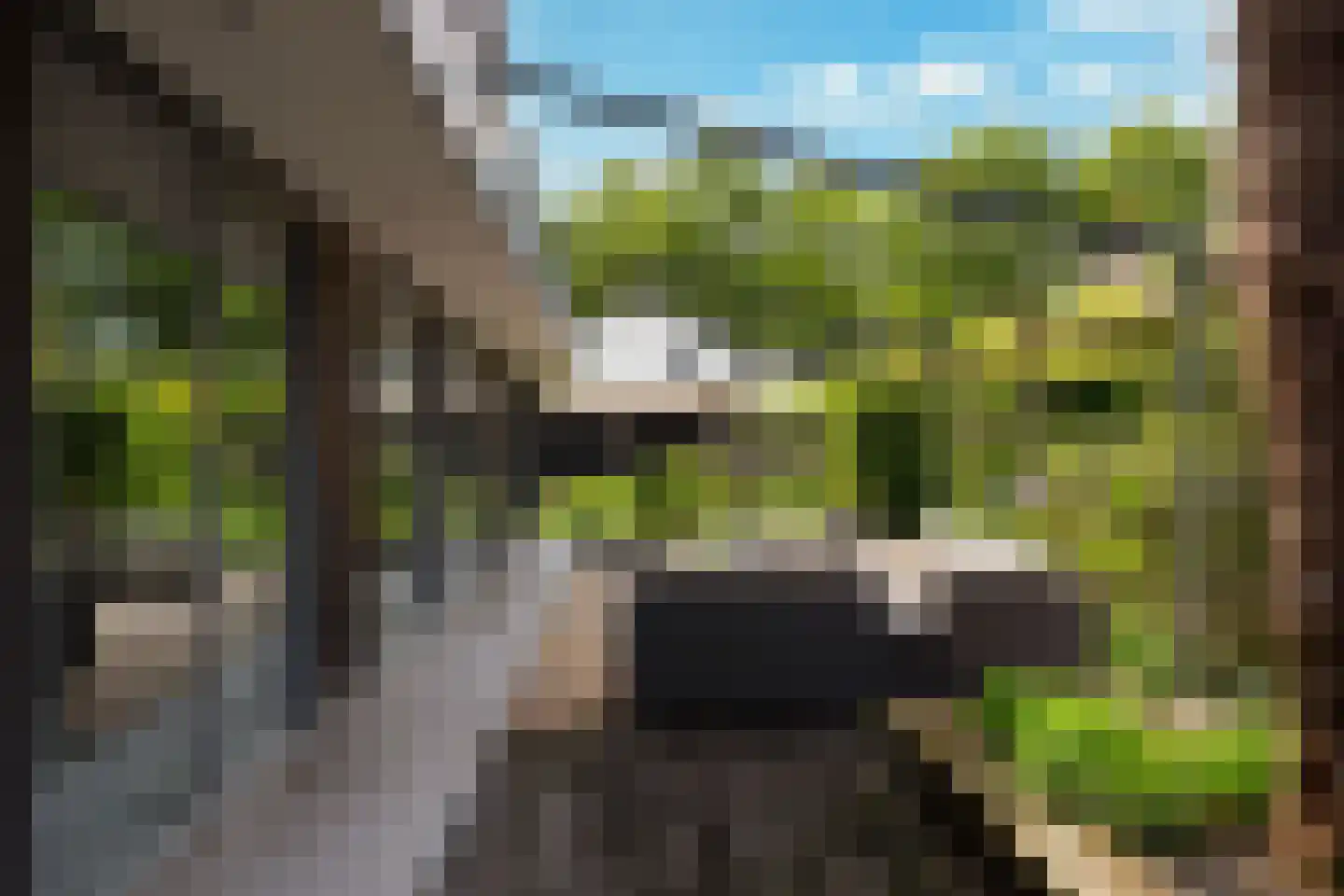 Palfrenier 18 Waalwijk thumbnail 14