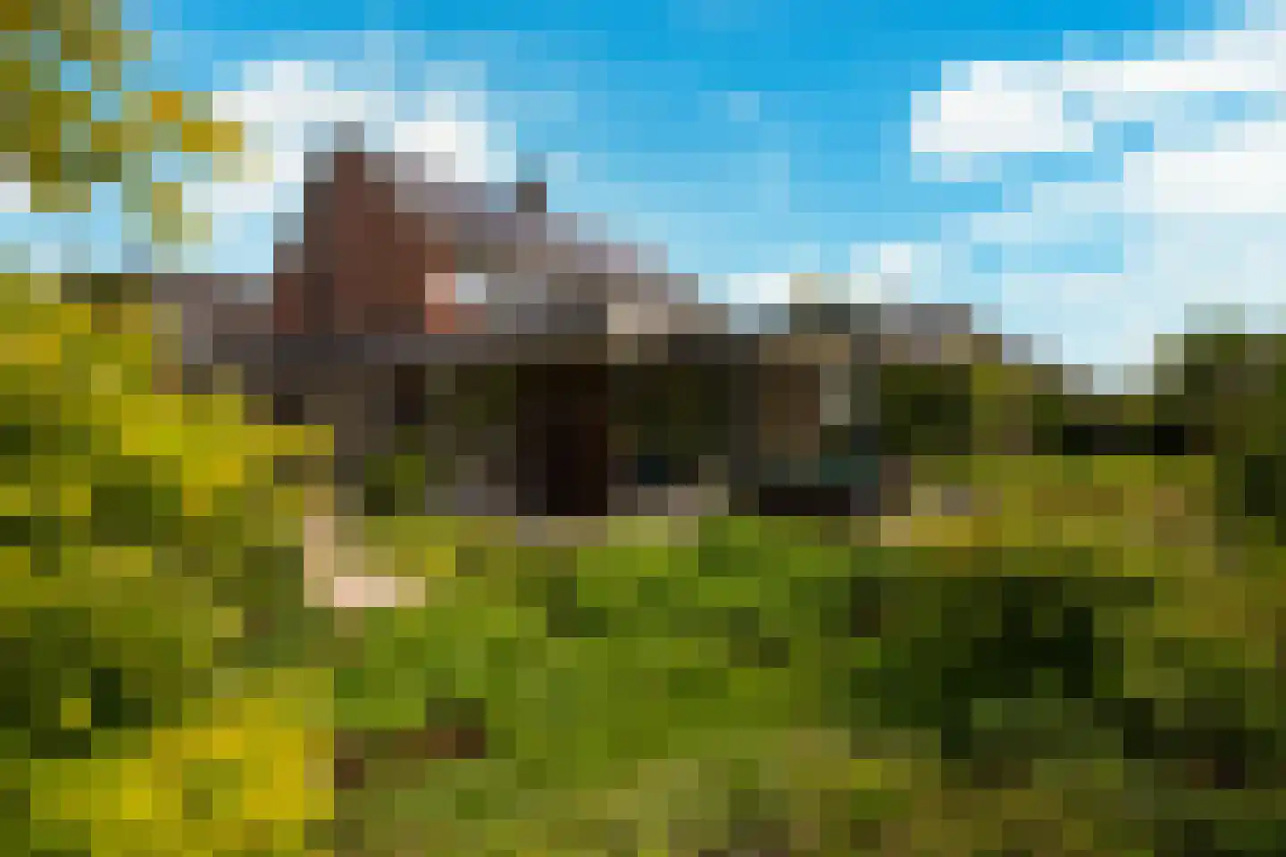Palfrenier 18 Waalwijk thumbnail 17