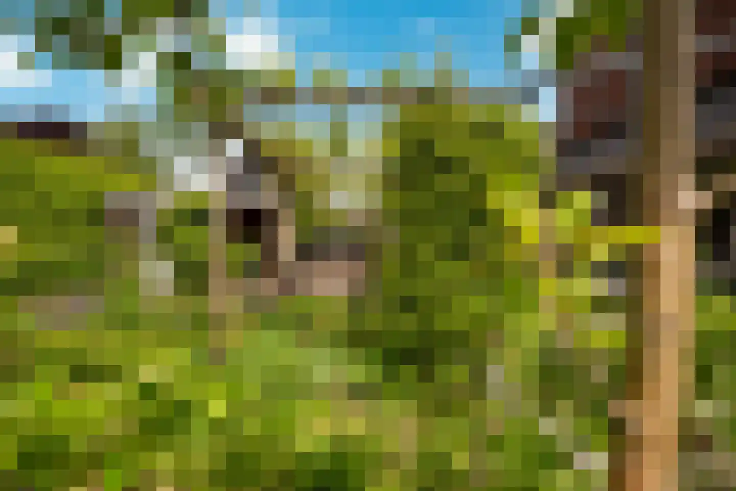 Palfrenier 18 Waalwijk thumbnail 22