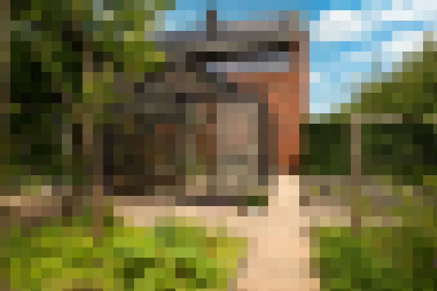 Palfrenier 18 Waalwijk thumbnail 26