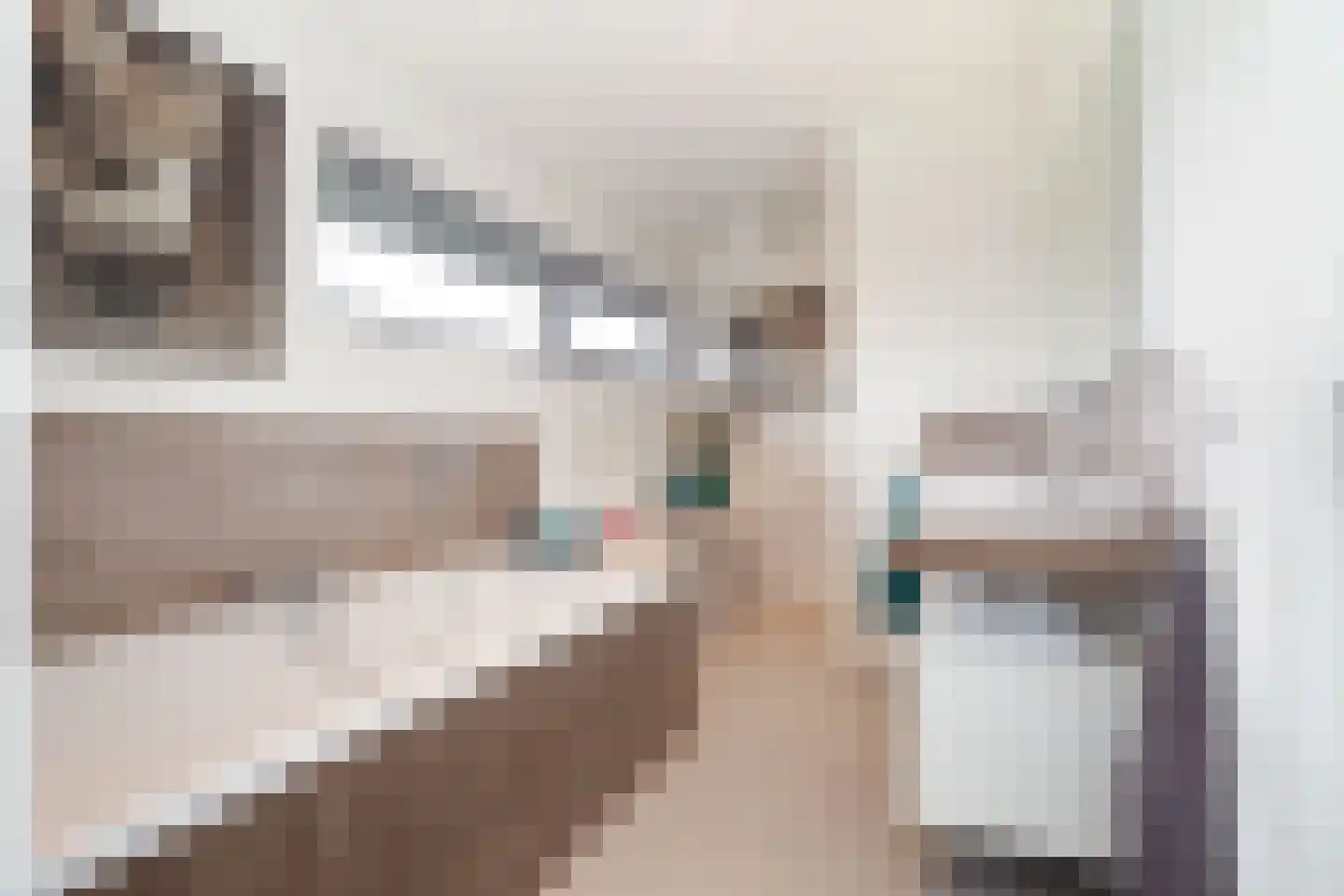 Palfrenier 18 Waalwijk thumbnail 31