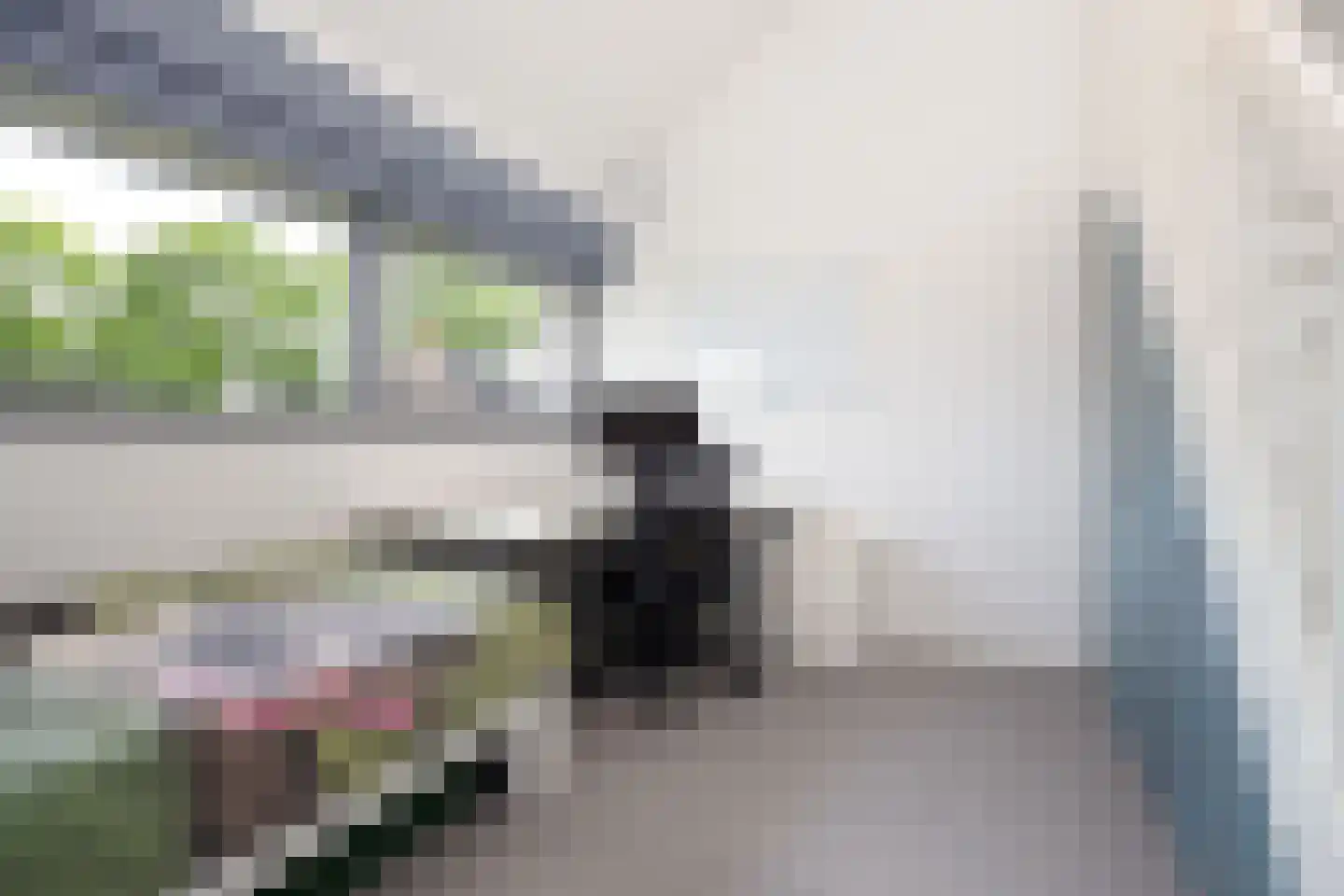 Palfrenier 18 Waalwijk thumbnail 34