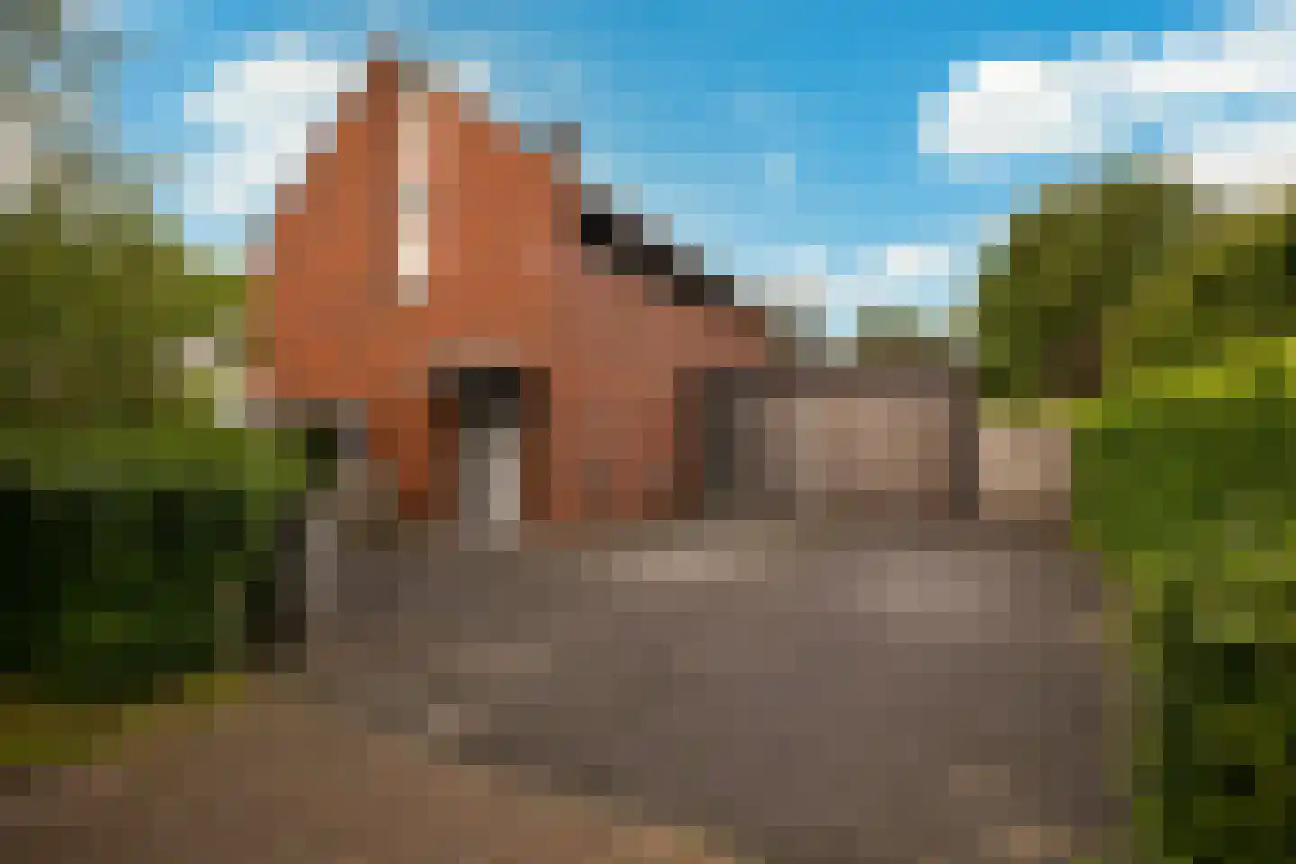 Palfrenier 18 Waalwijk thumbnail 6