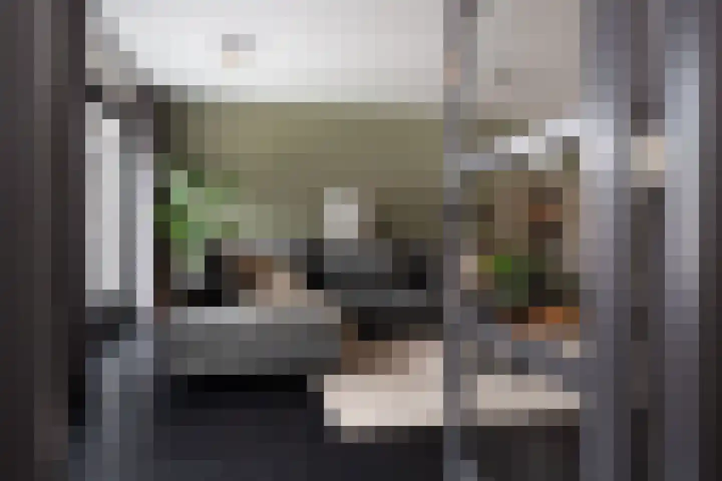 Palfrenier 35 Waalwijk thumbnail 11