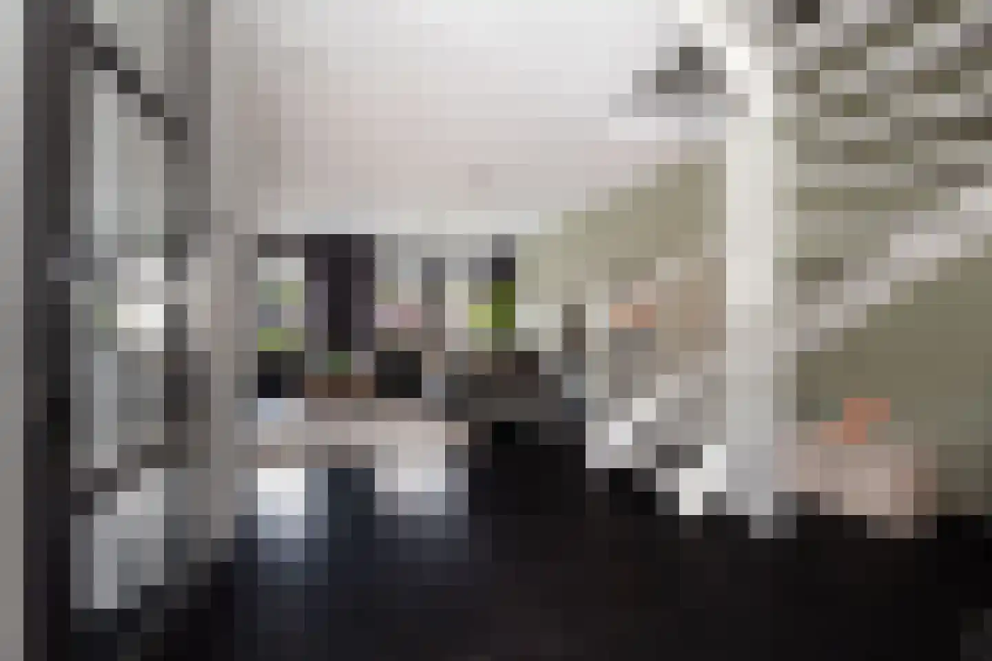 Palfrenier 35 Waalwijk thumbnail 15