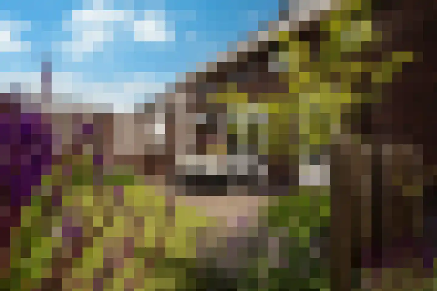 Palfrenier 35 Waalwijk thumbnail 17