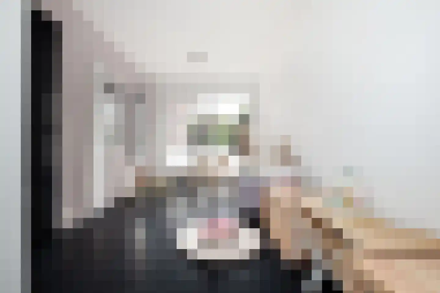 Palfrenier 35 Waalwijk thumbnail 19