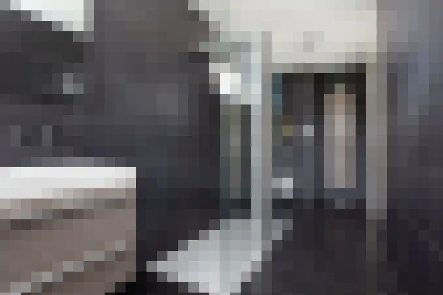 Palfrenier 35 Waalwijk thumbnail 23