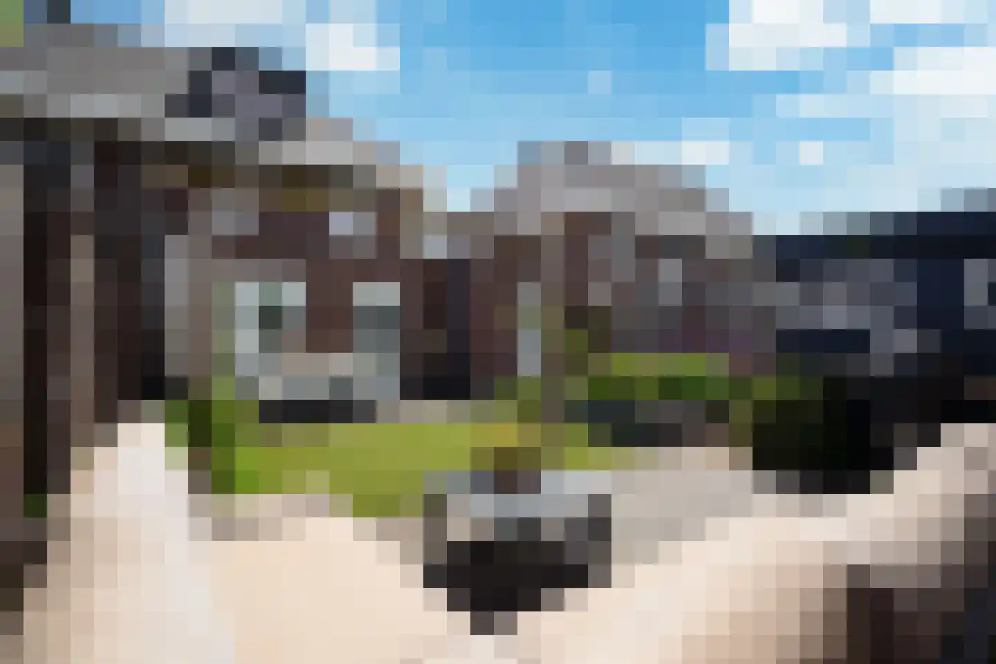Palfrenier 35 Waalwijk thumbnail 6