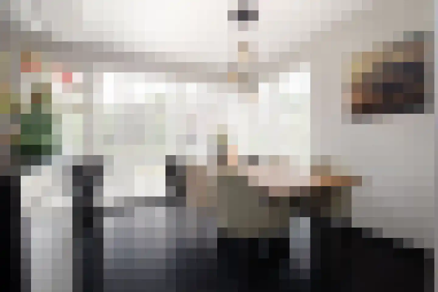 Palfrenier 35 Waalwijk thumbnail 8
