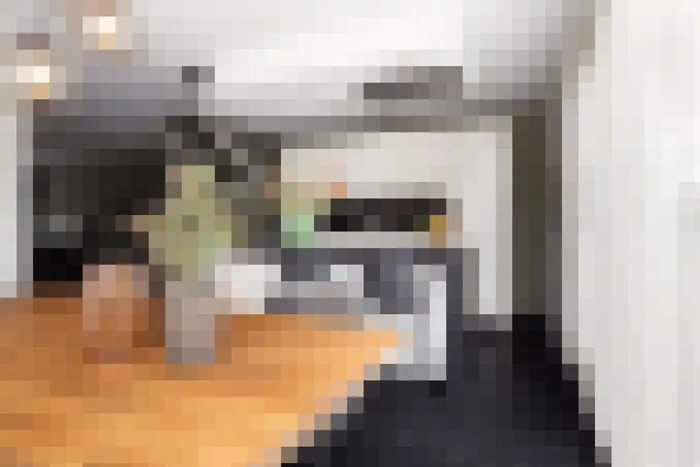 Palfrenier 35 Waalwijk thumbnail 9