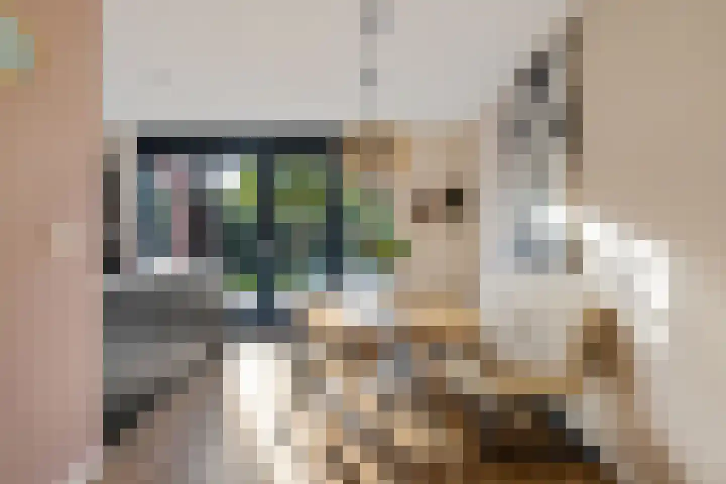 Palfrenier 9 Heerenveen thumbnail 13