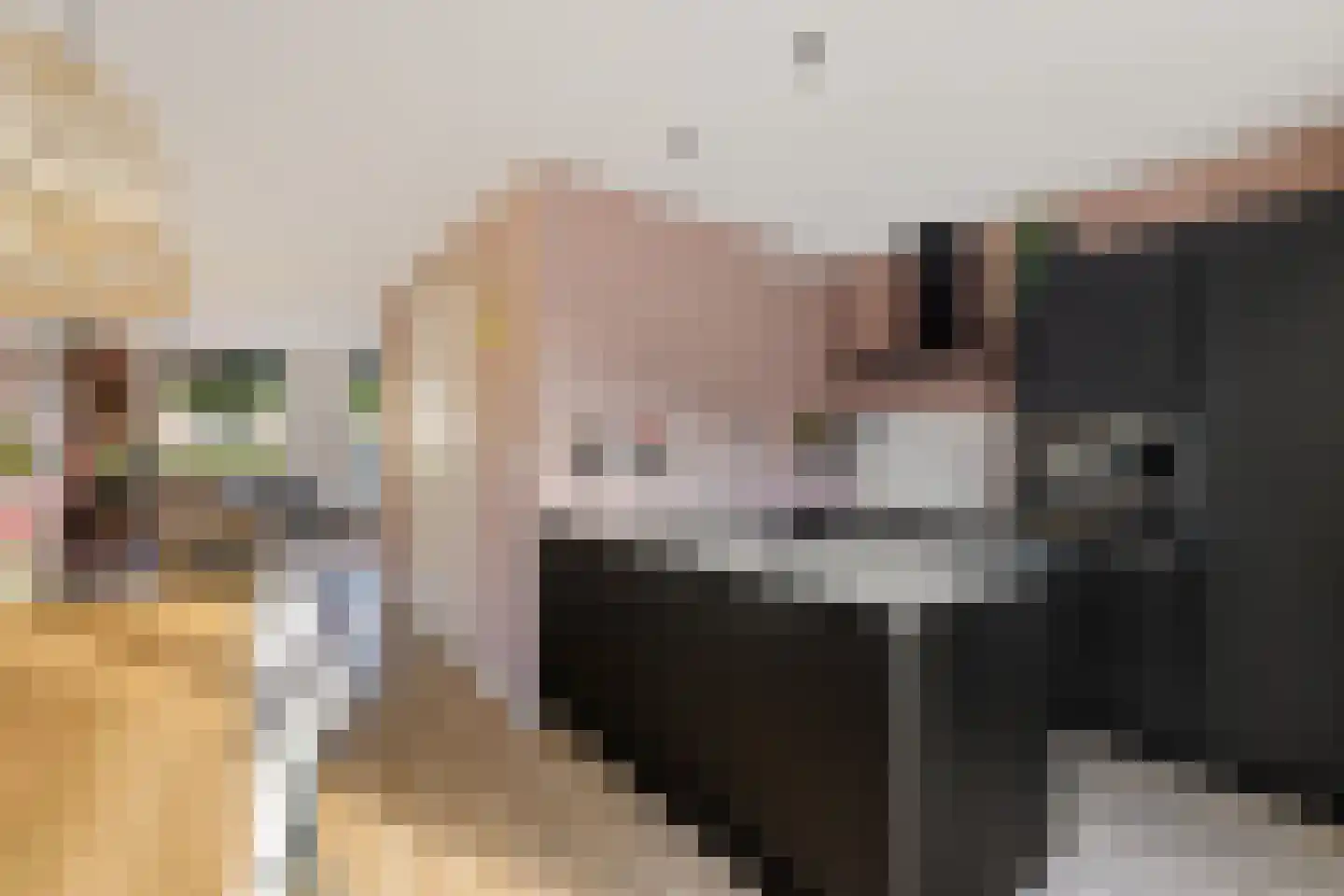 Palfrenier 9 Heerenveen thumbnail 15