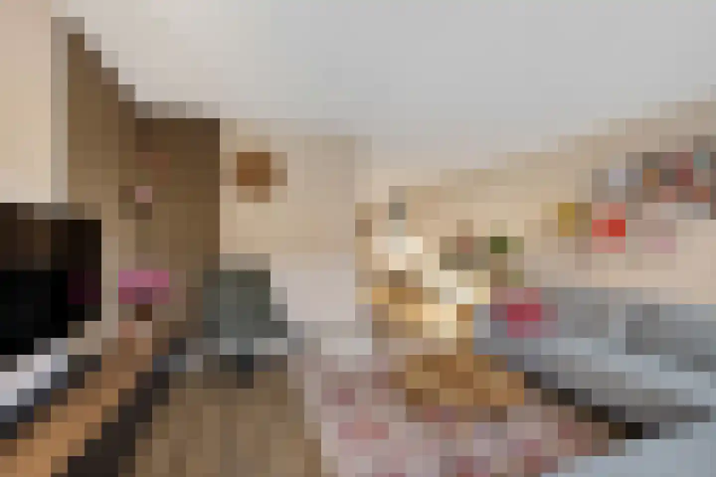 Palfrenier 9 Heerenveen thumbnail 20