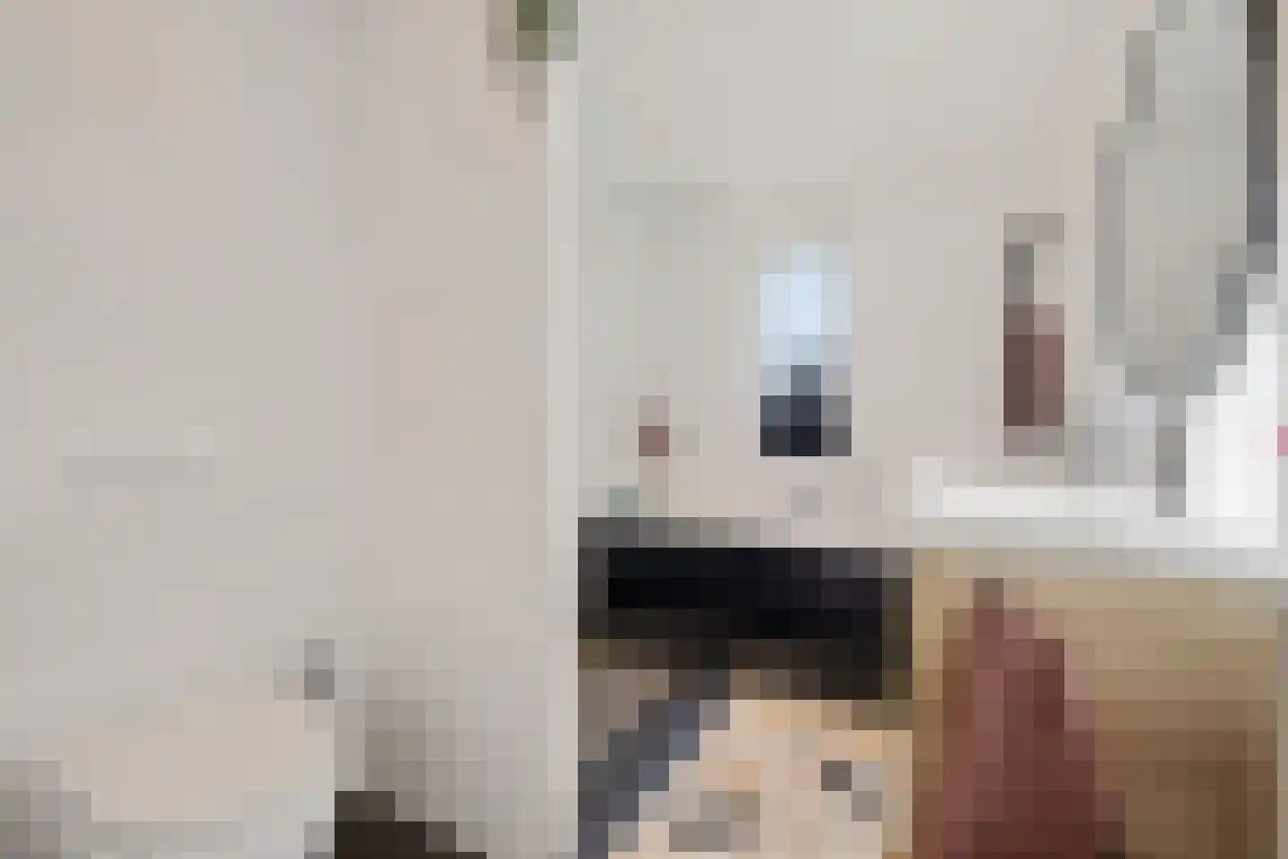 Palfrenier 9 Heerenveen thumbnail 30