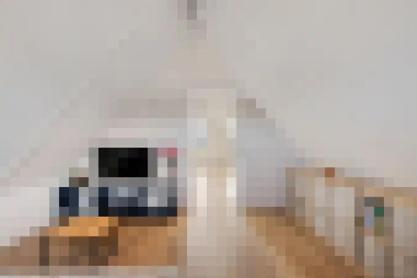 Palfrenier 9 Heerenveen thumbnail 33