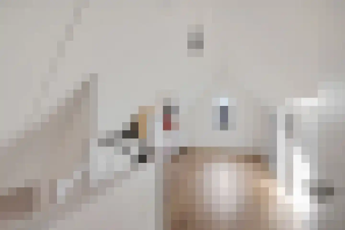 Palfrenier 9 Heerenveen thumbnail 34