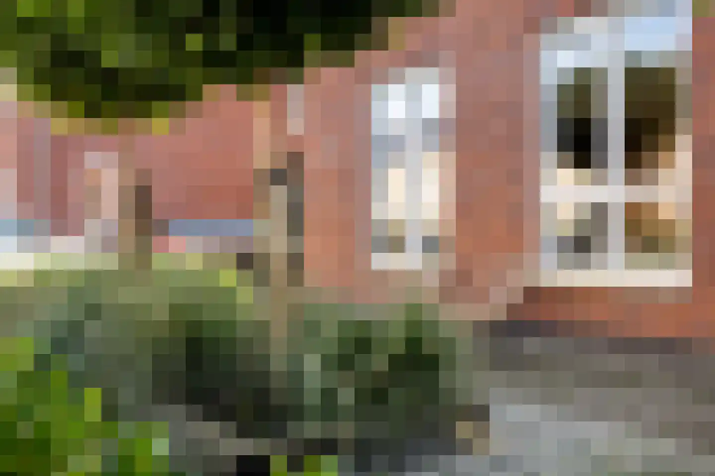 Palfrenier 9 Heerenveen thumbnail 7