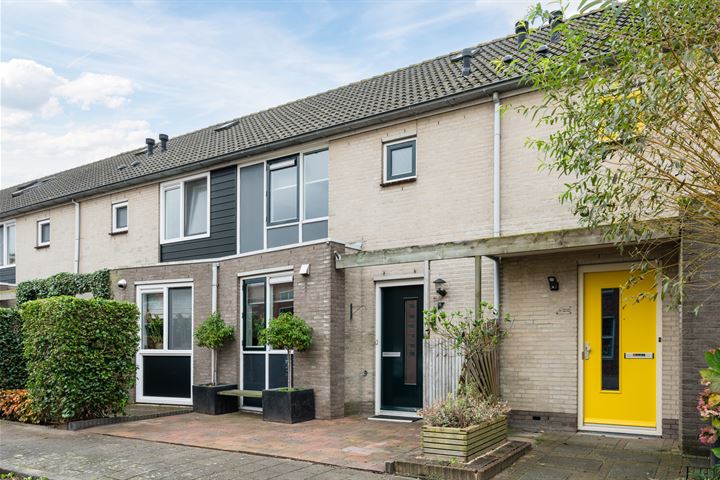 Paling 19 in Oostzaan Foto