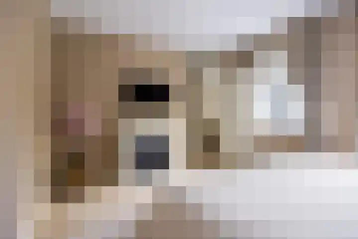 Palinggracht 42 Beuningen Gld thumbnail 33