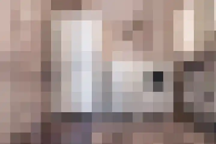 Palinggracht 42 Beuningen Gld thumbnail 5