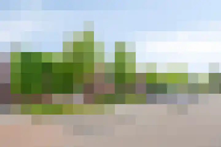 Palinggracht 5 Beuningen Gld thumbnail 6