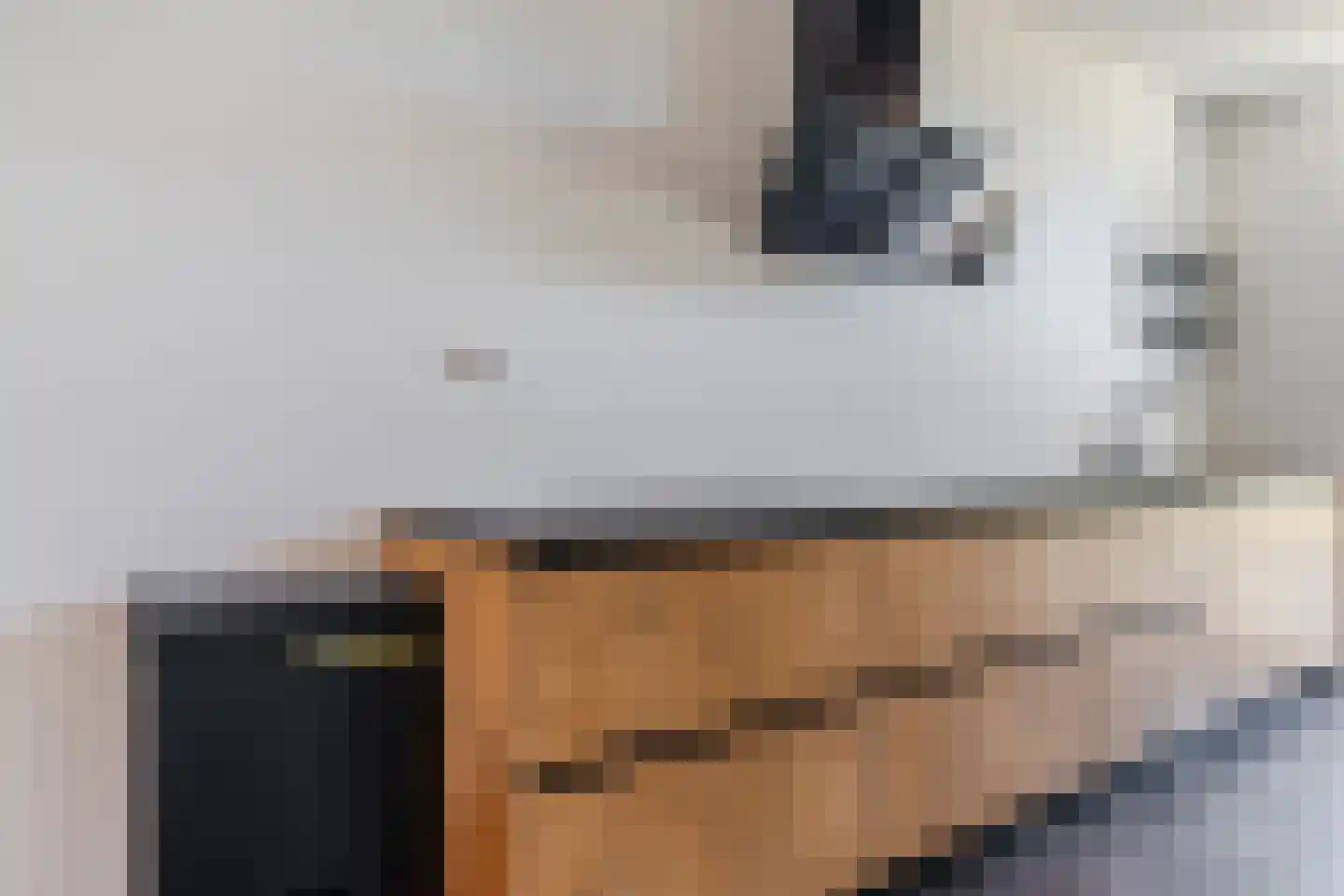 Palingrokerij 6 Hardinxveld-Giessendam thumbnail 15