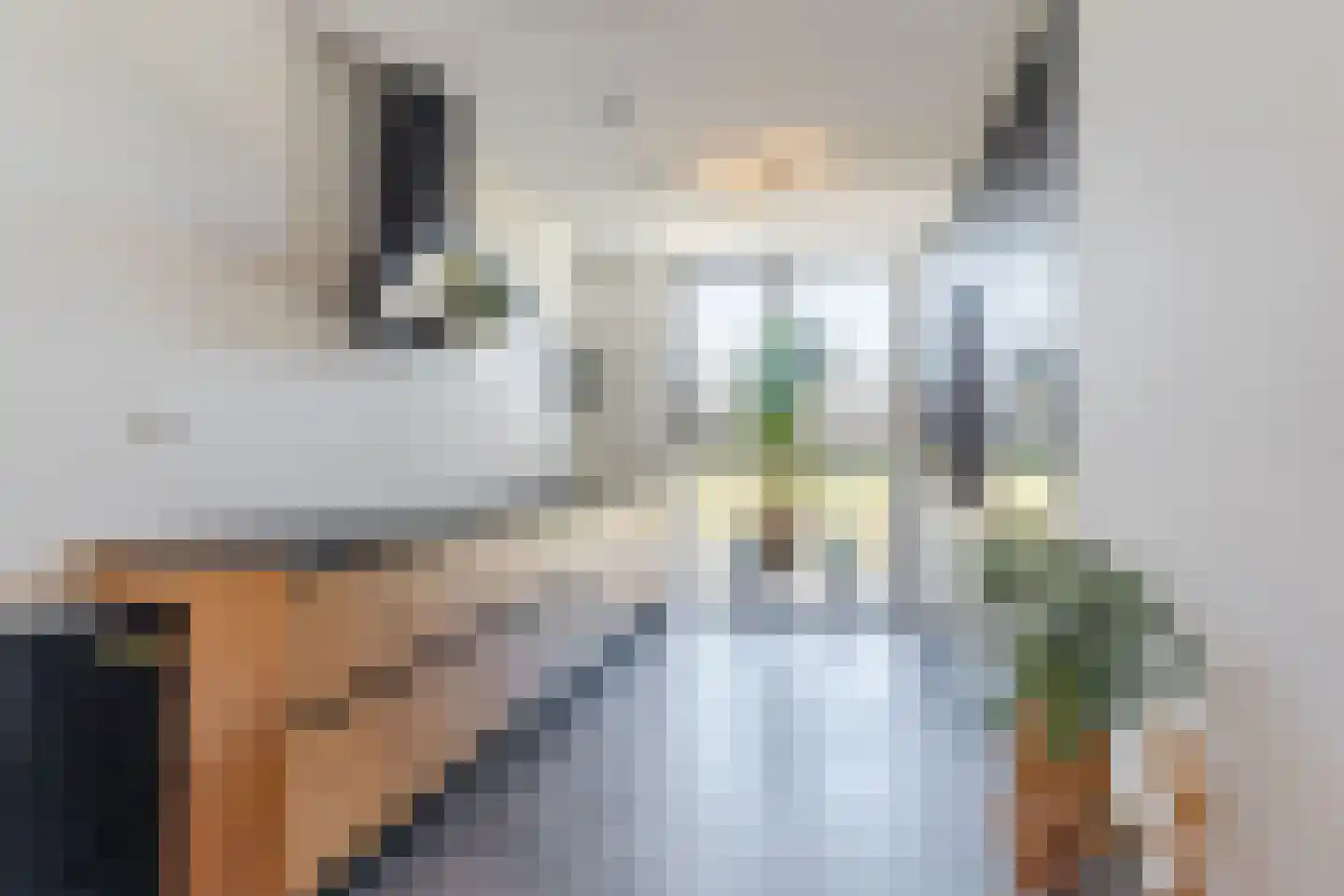 Palingrokerij 6 Hardinxveld-Giessendam thumbnail 4