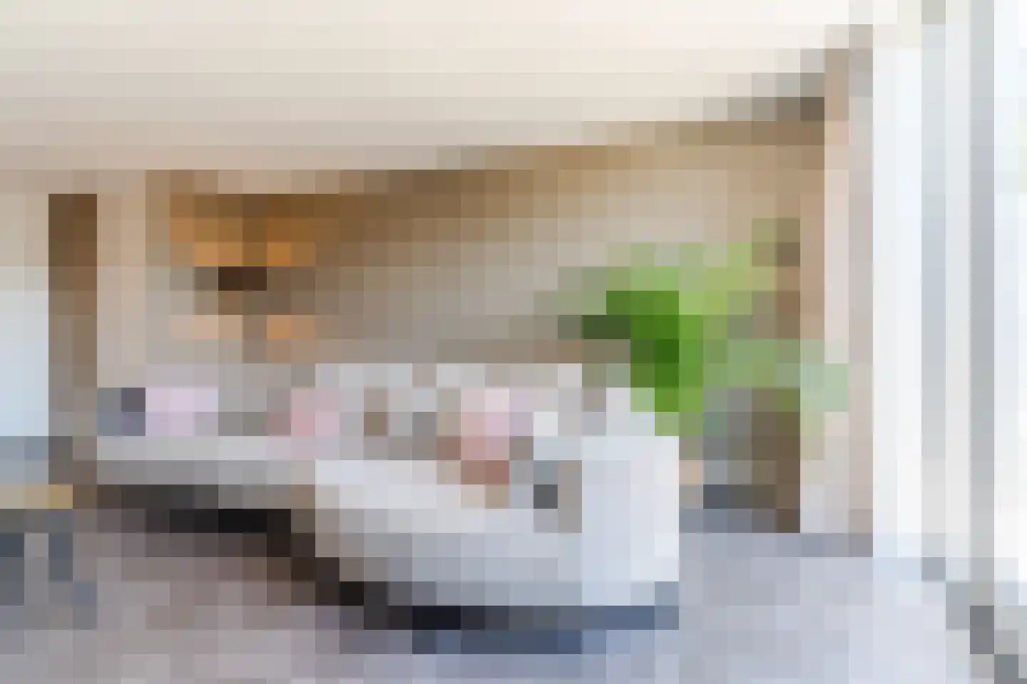 Palingrokerij 6 Hardinxveld-Giessendam thumbnail 8