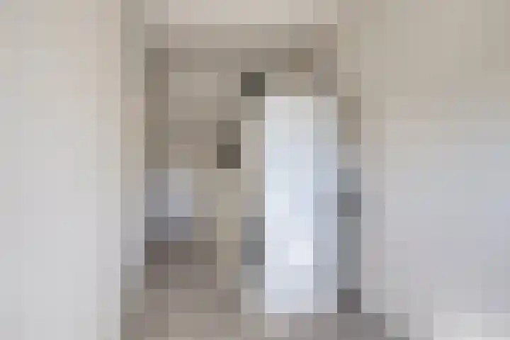 Palingstraat 10 Bergen op Zoom thumbnail 33