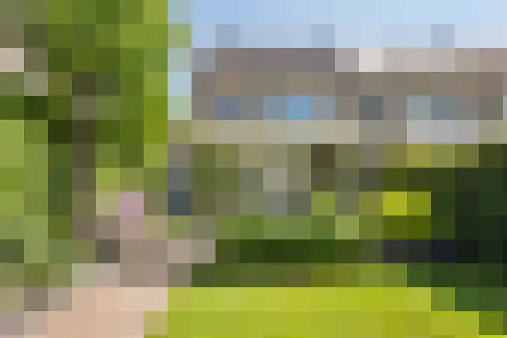 Palingstraat 10 Bergen op Zoom thumbnail 36