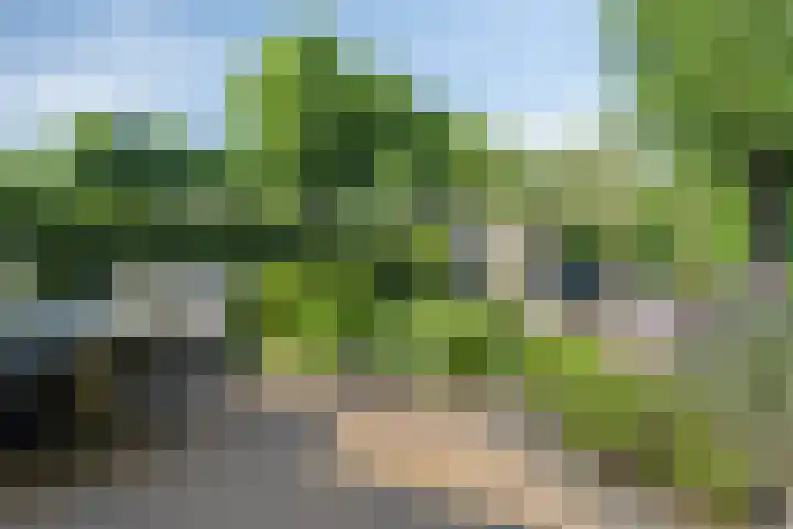 Palingstraat 10 Bergen op Zoom thumbnail 38