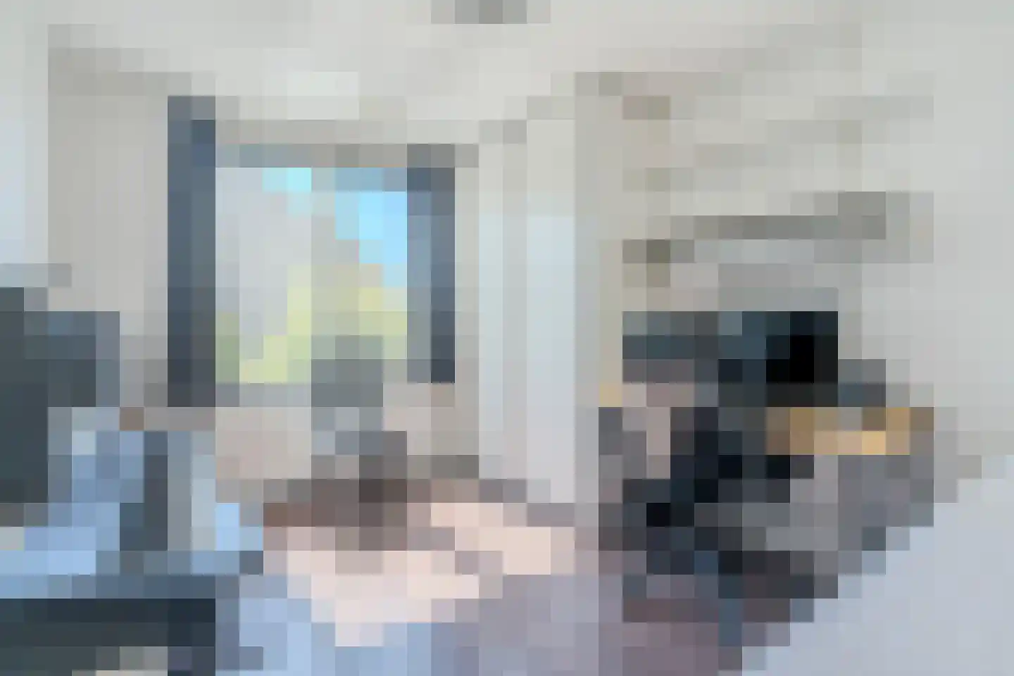 Palingstraat 12 Eindhoven thumbnail 22