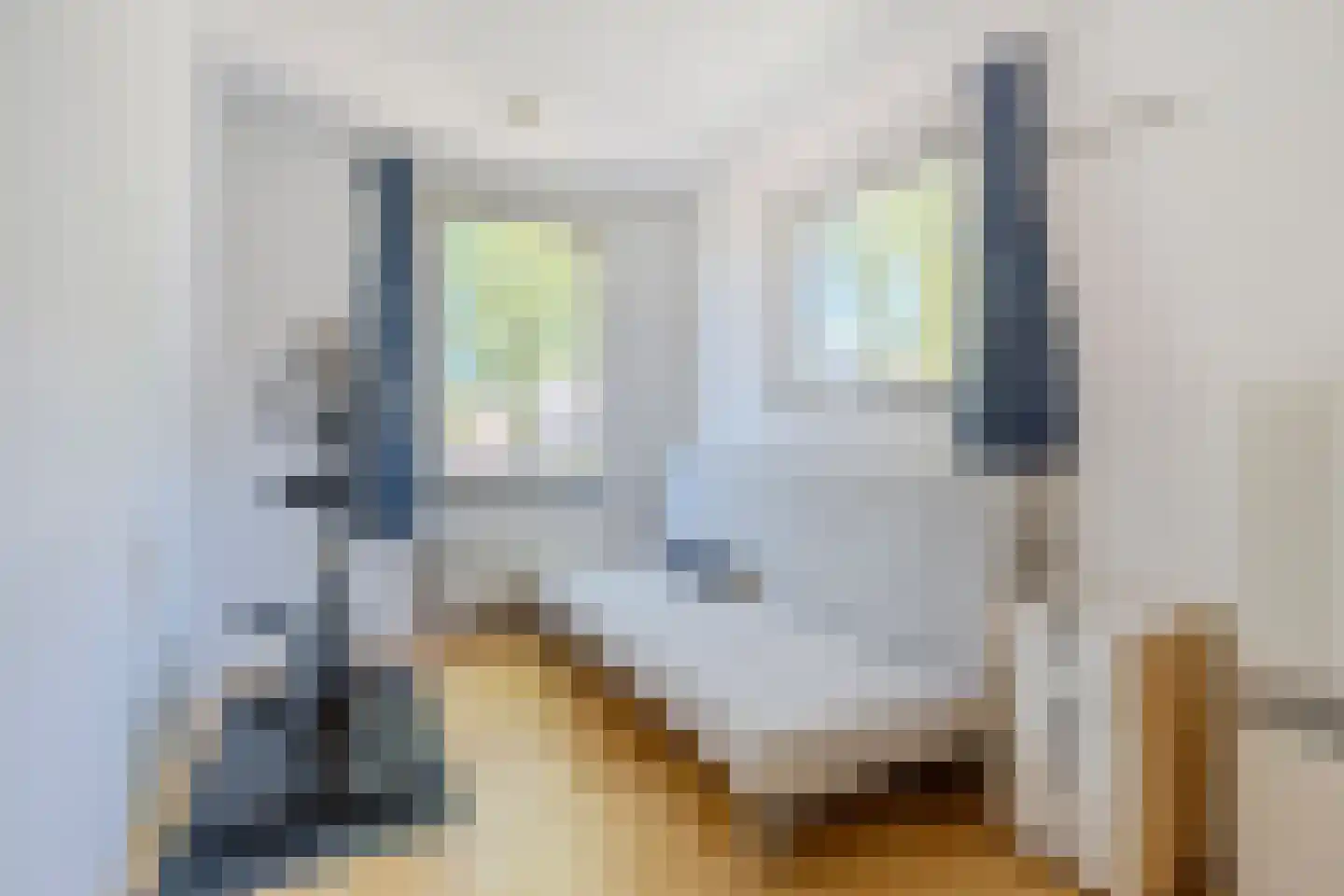 Palingstraat 12 Eindhoven thumbnail 24