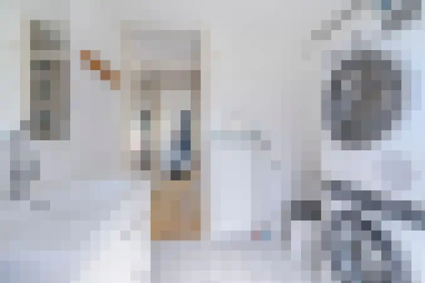 Palingstraat 12 Eindhoven thumbnail 27