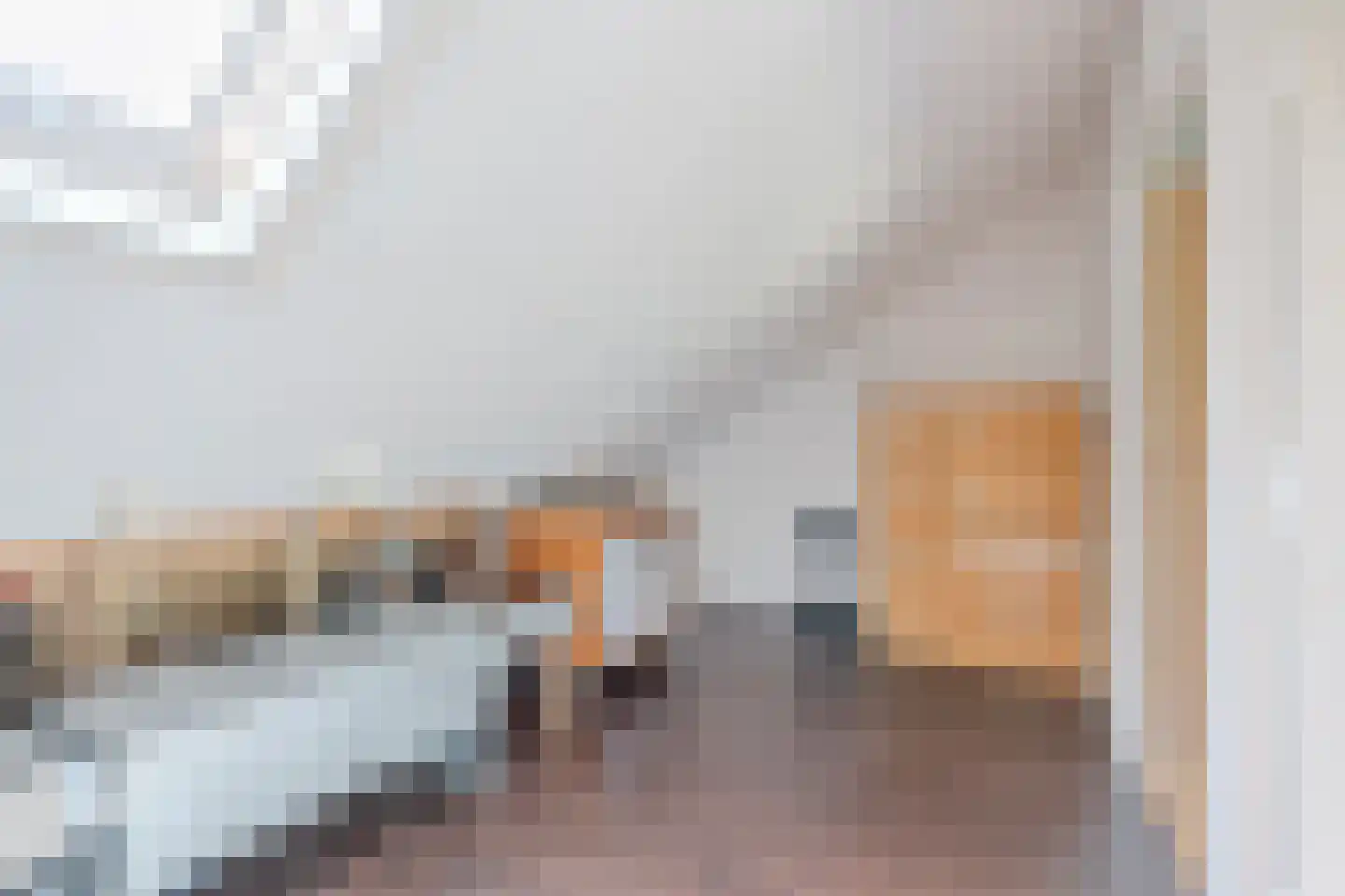 Palingstraat 12 Eindhoven thumbnail 29